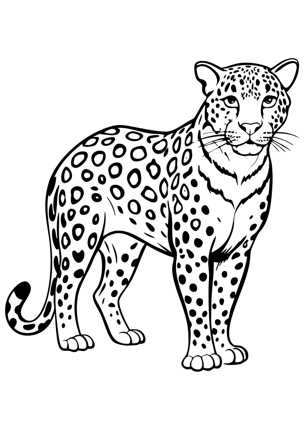 Desenho para Colorir Onça