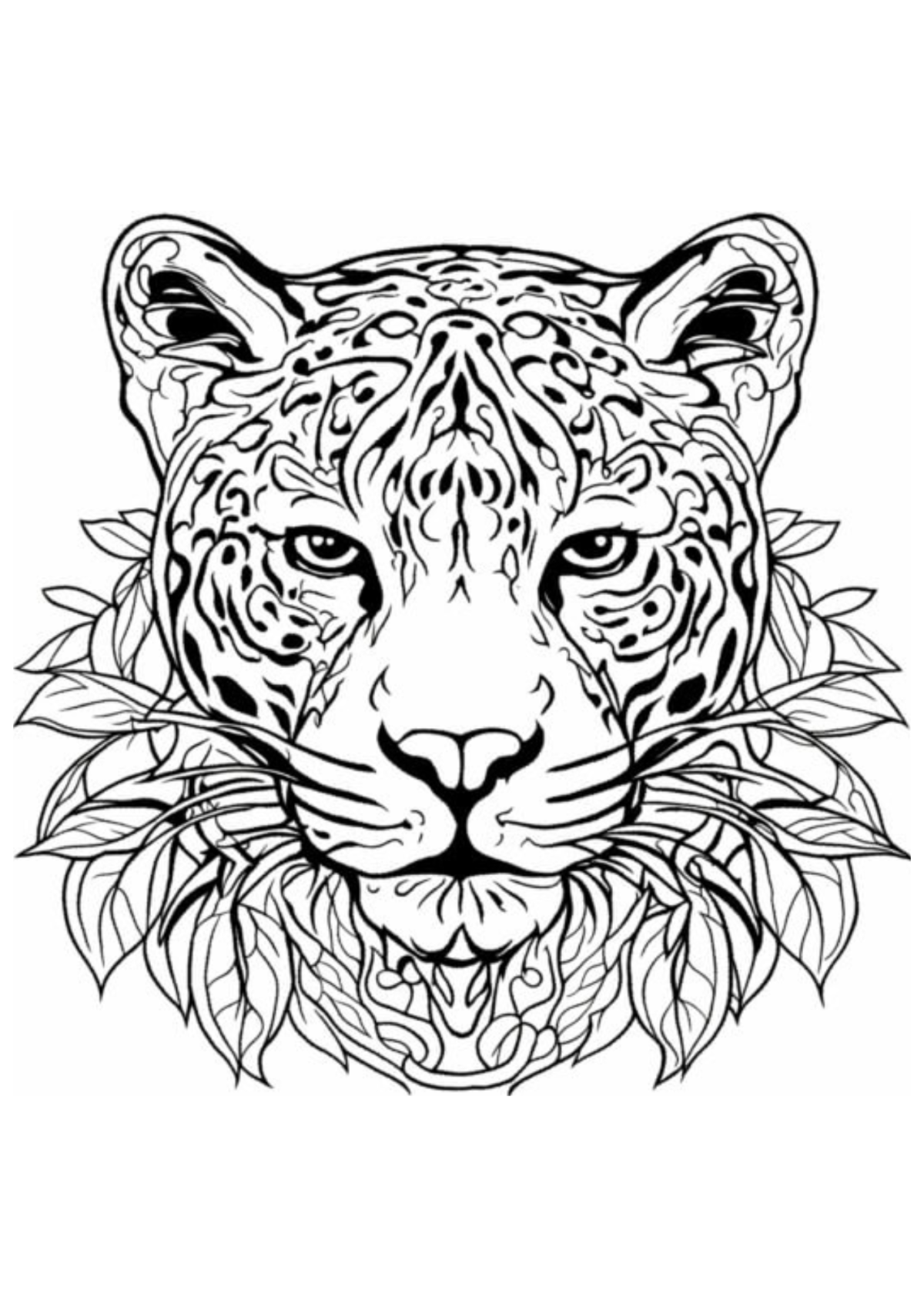 Desenho para Colorir Onça