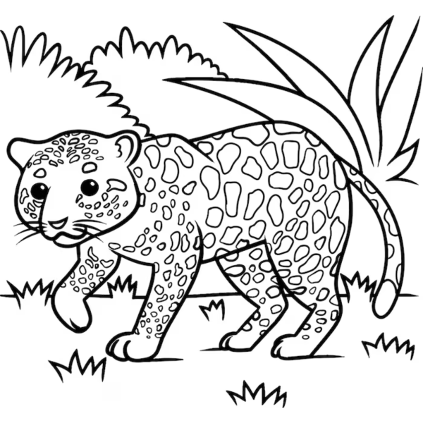 Desenho para Colorir Onça