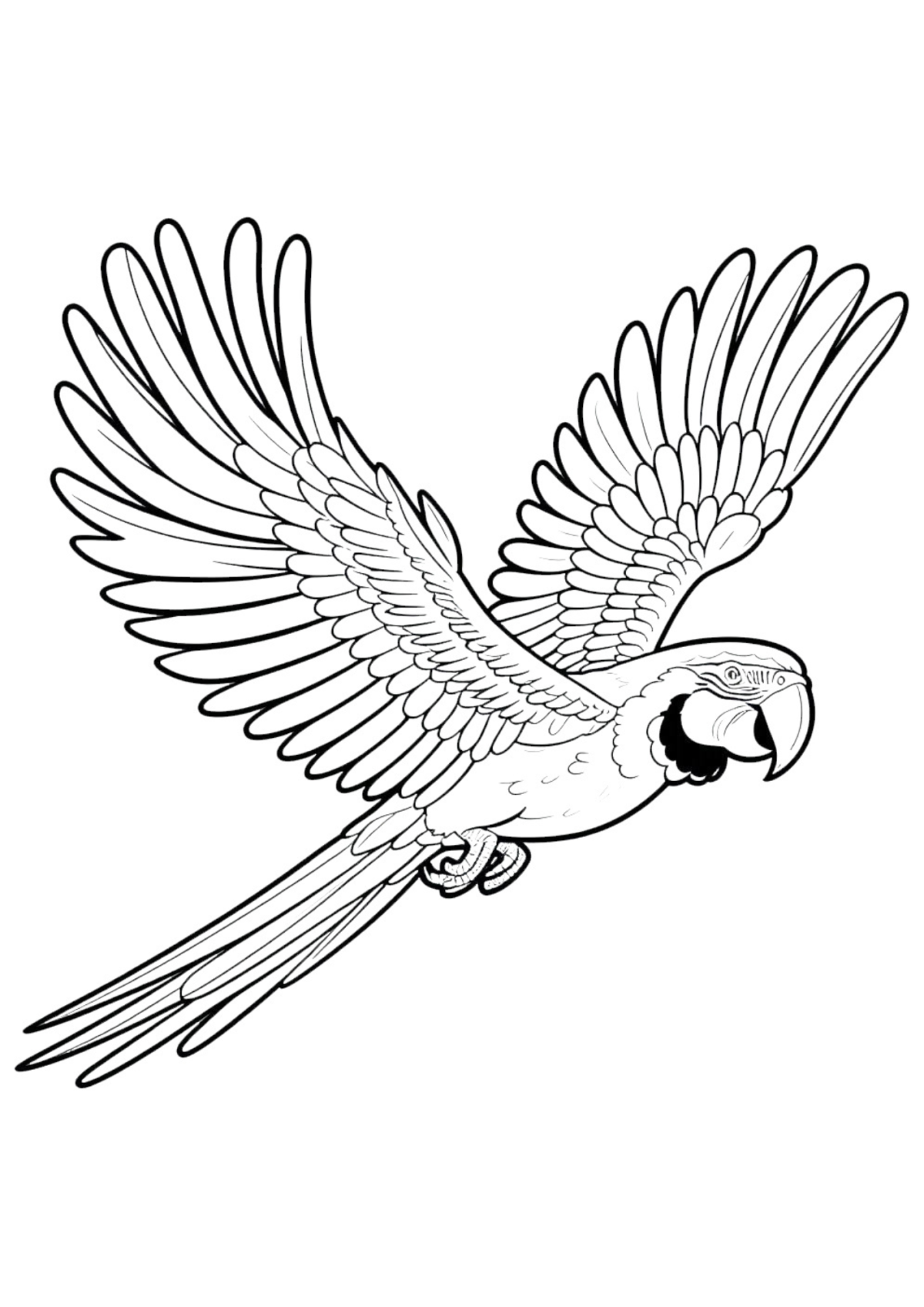 Desenho para Colorir Papagaio