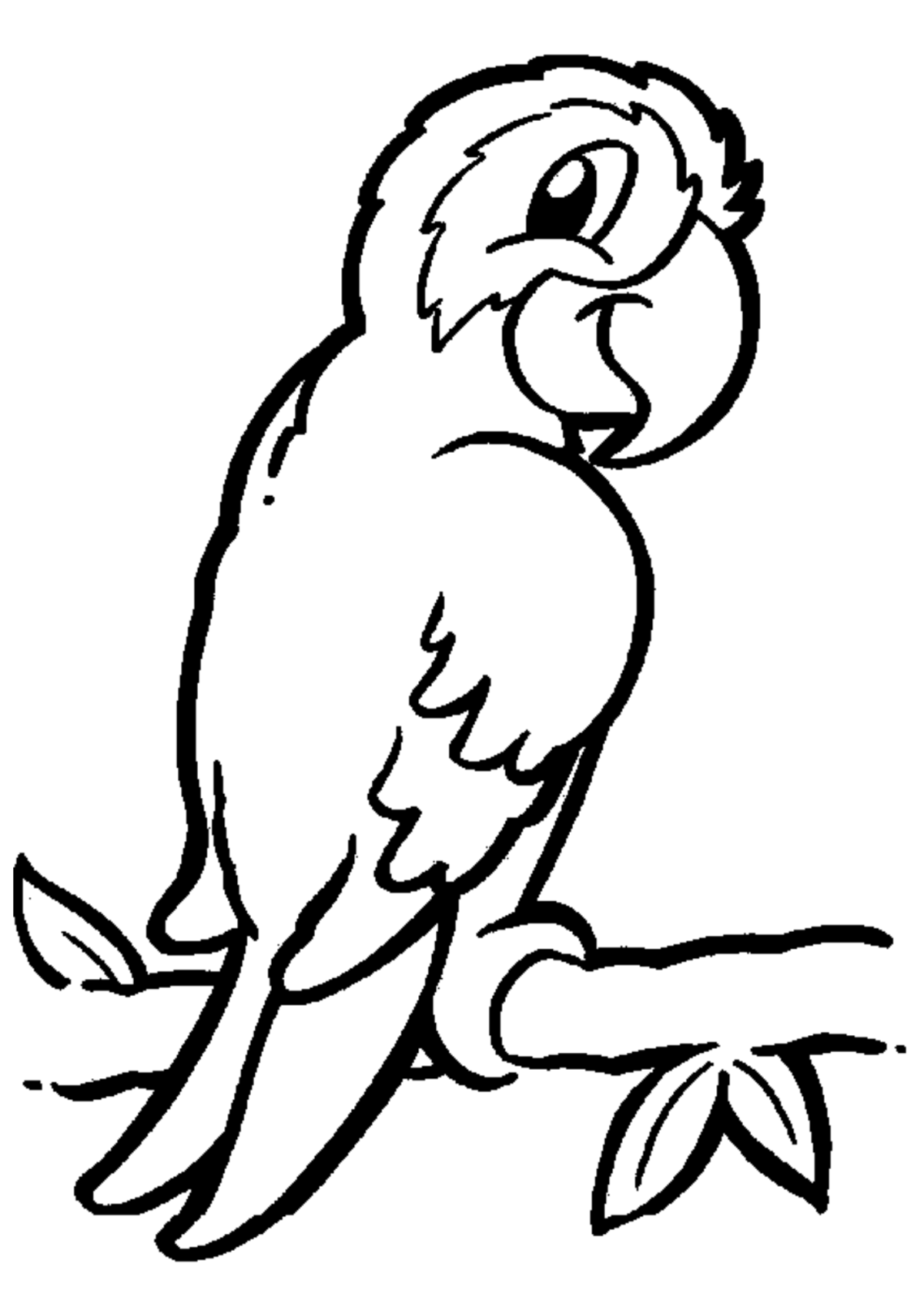 Desenho para Colorir Papagaio