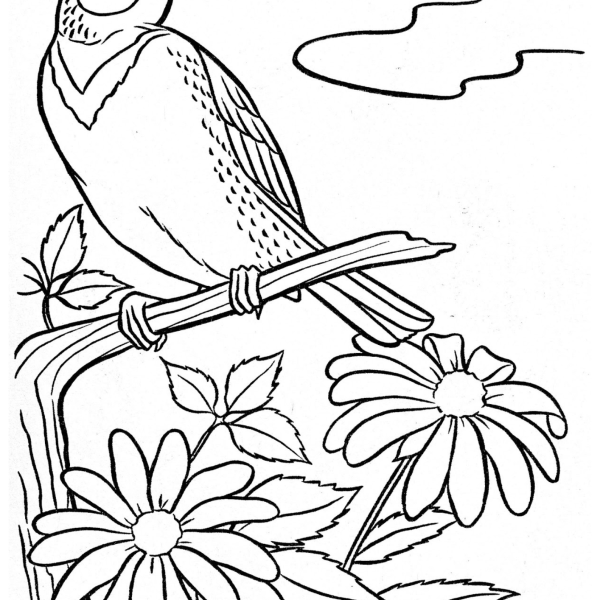 Desenho para Colorir Pássaro