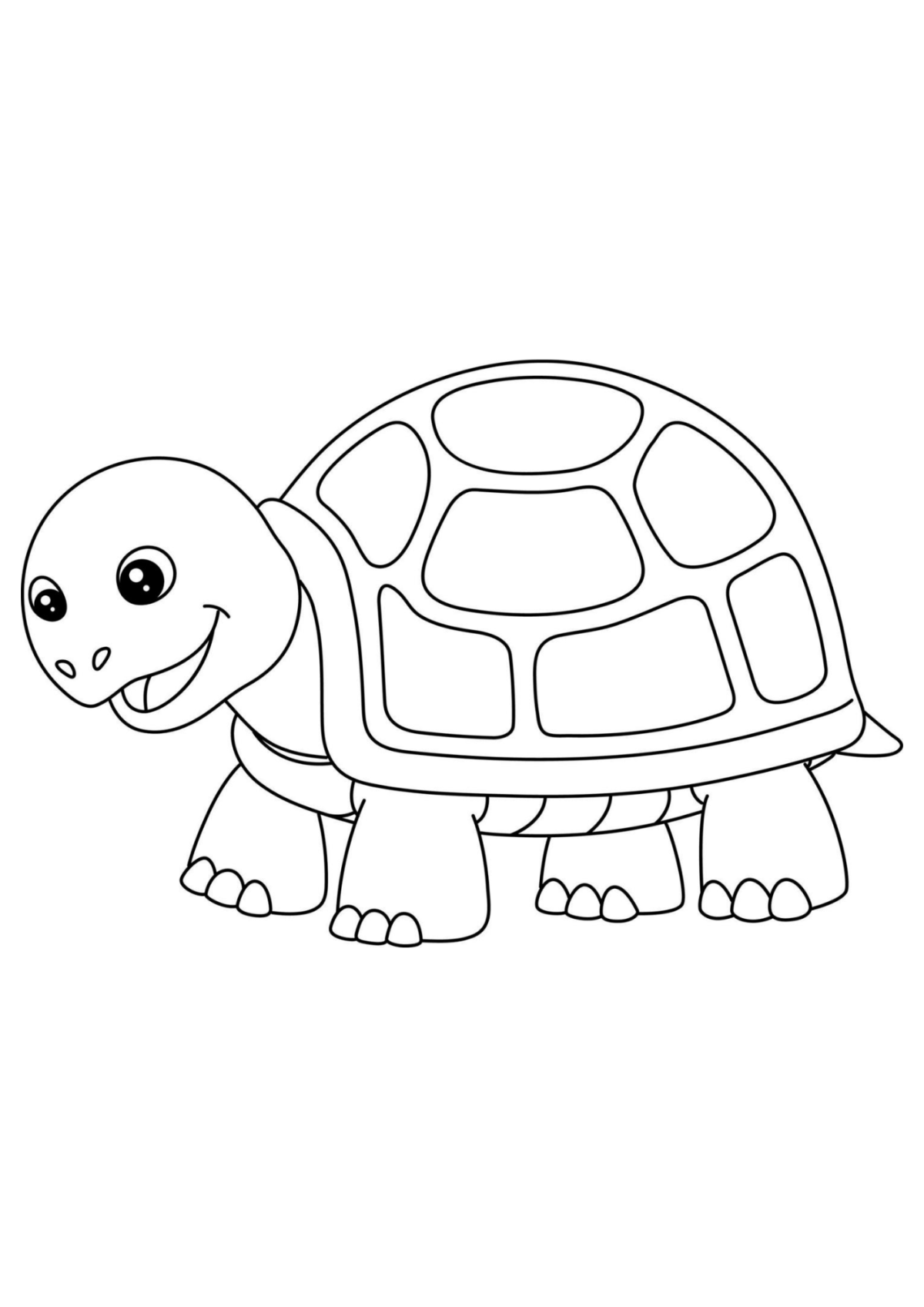 Desenho para Colorir Tartaruga