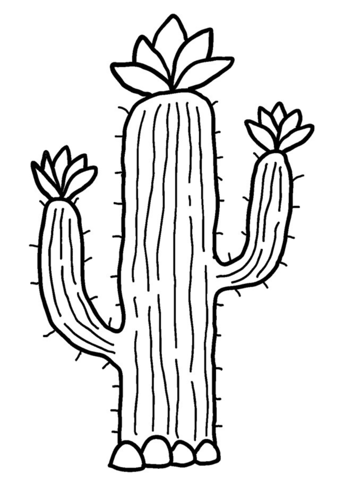 Desenho para Colorir Cacto