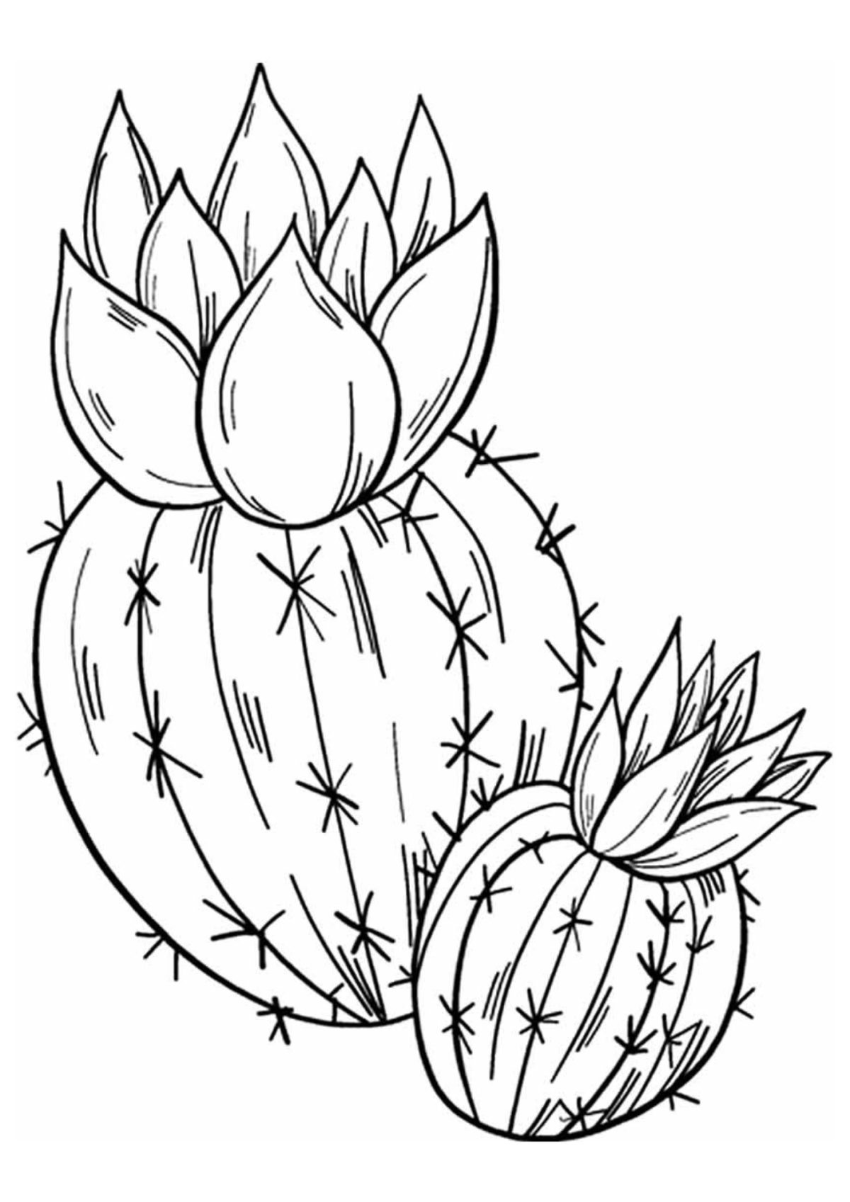 Desenho para Colorir Cacto