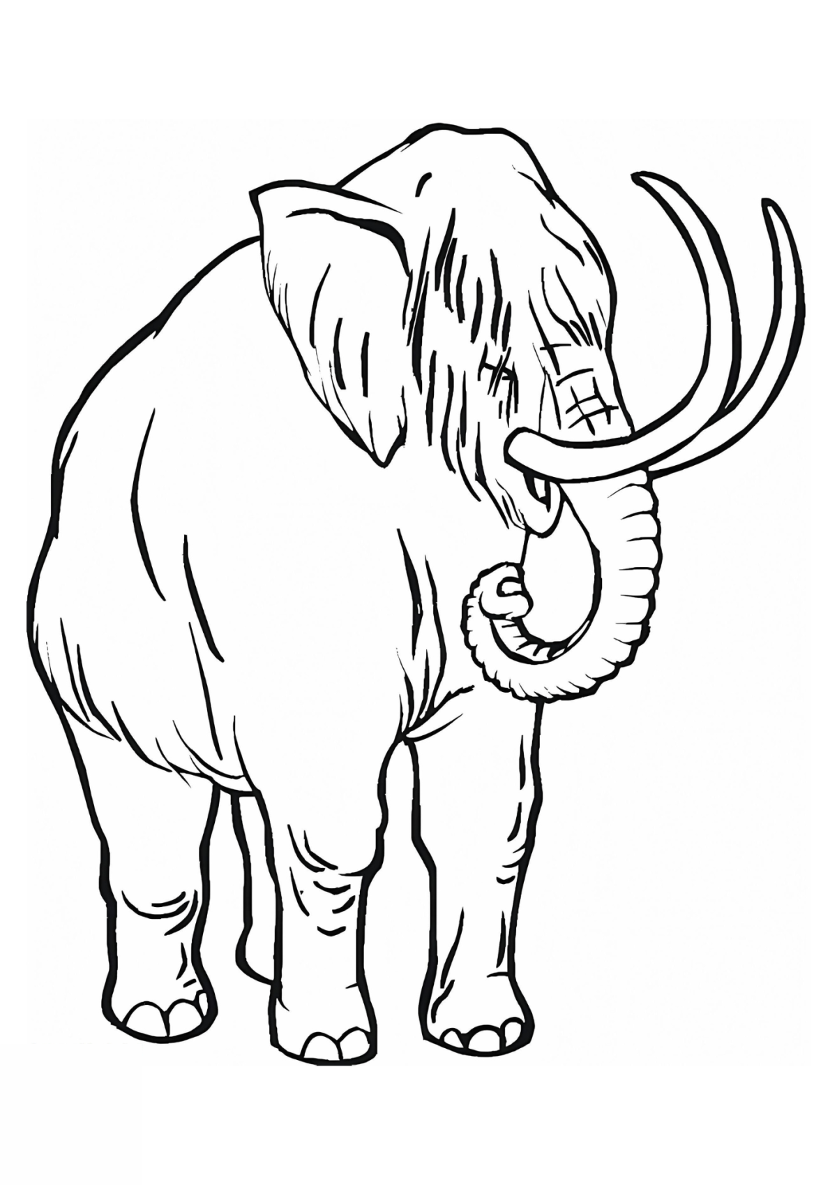 Desenho para Colorir Mamute