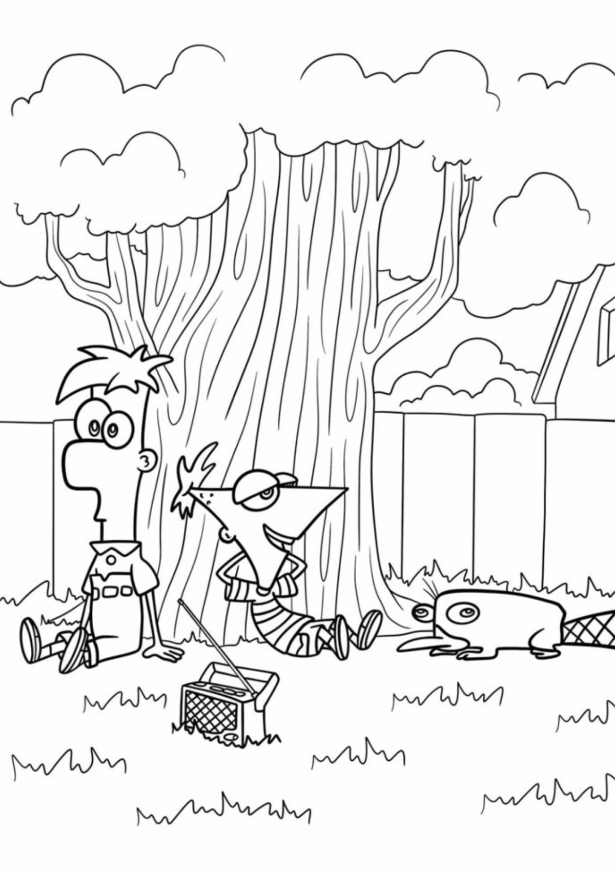 Desenho para Colorir Phineas e Fer