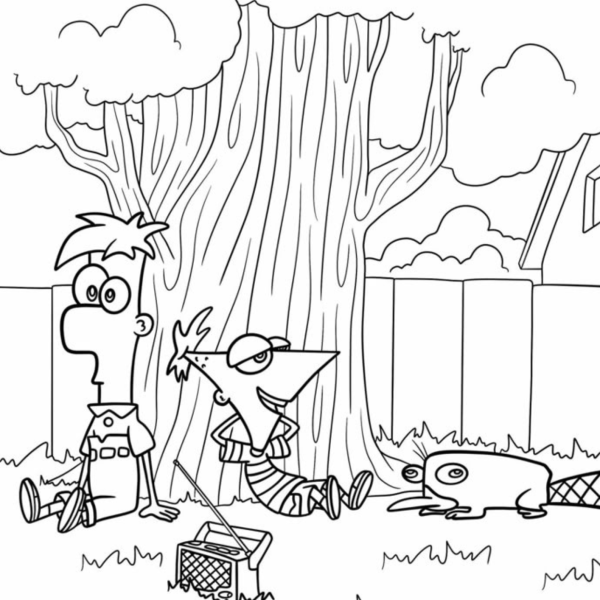 Desenho para Colorir Phineas e Fer