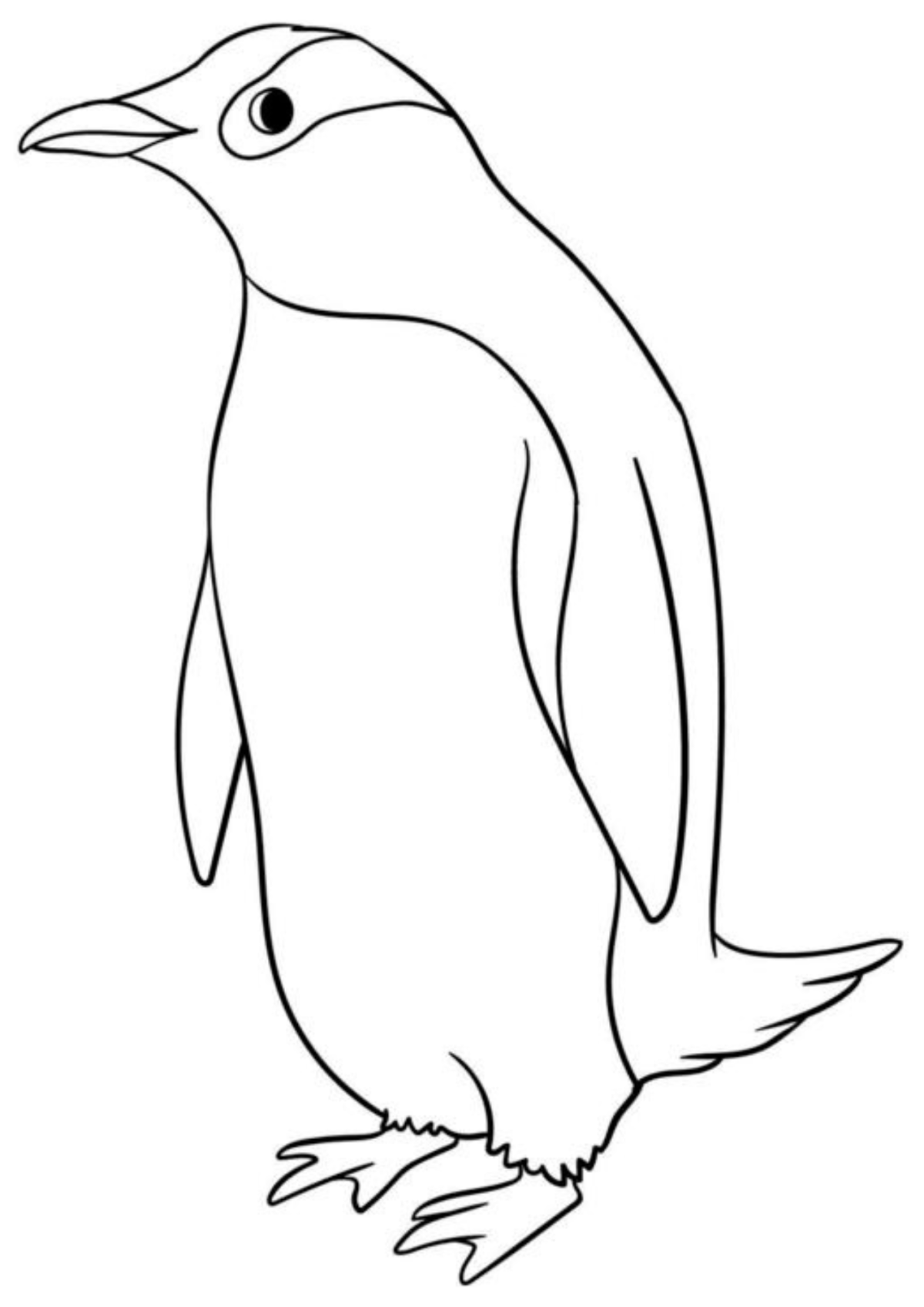 Desenho para Colorir Pinguim