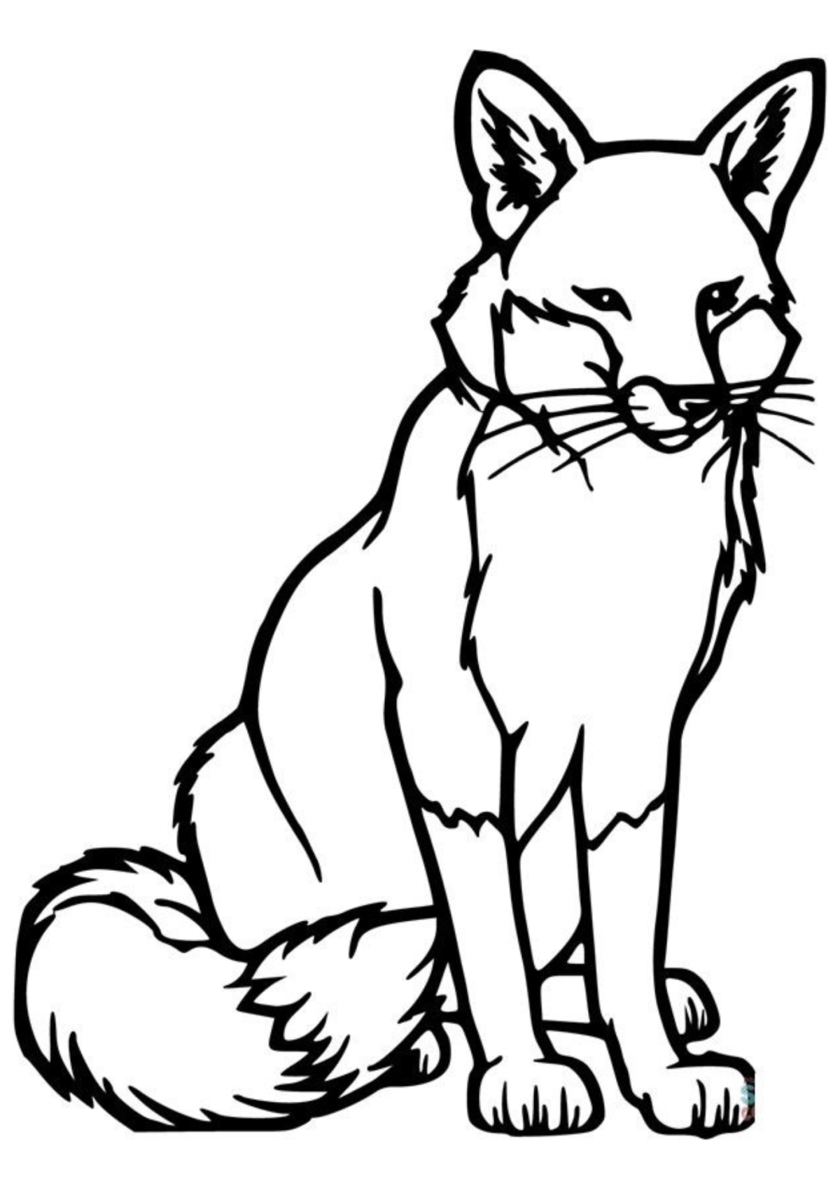 Desenho para Colorir Raposa