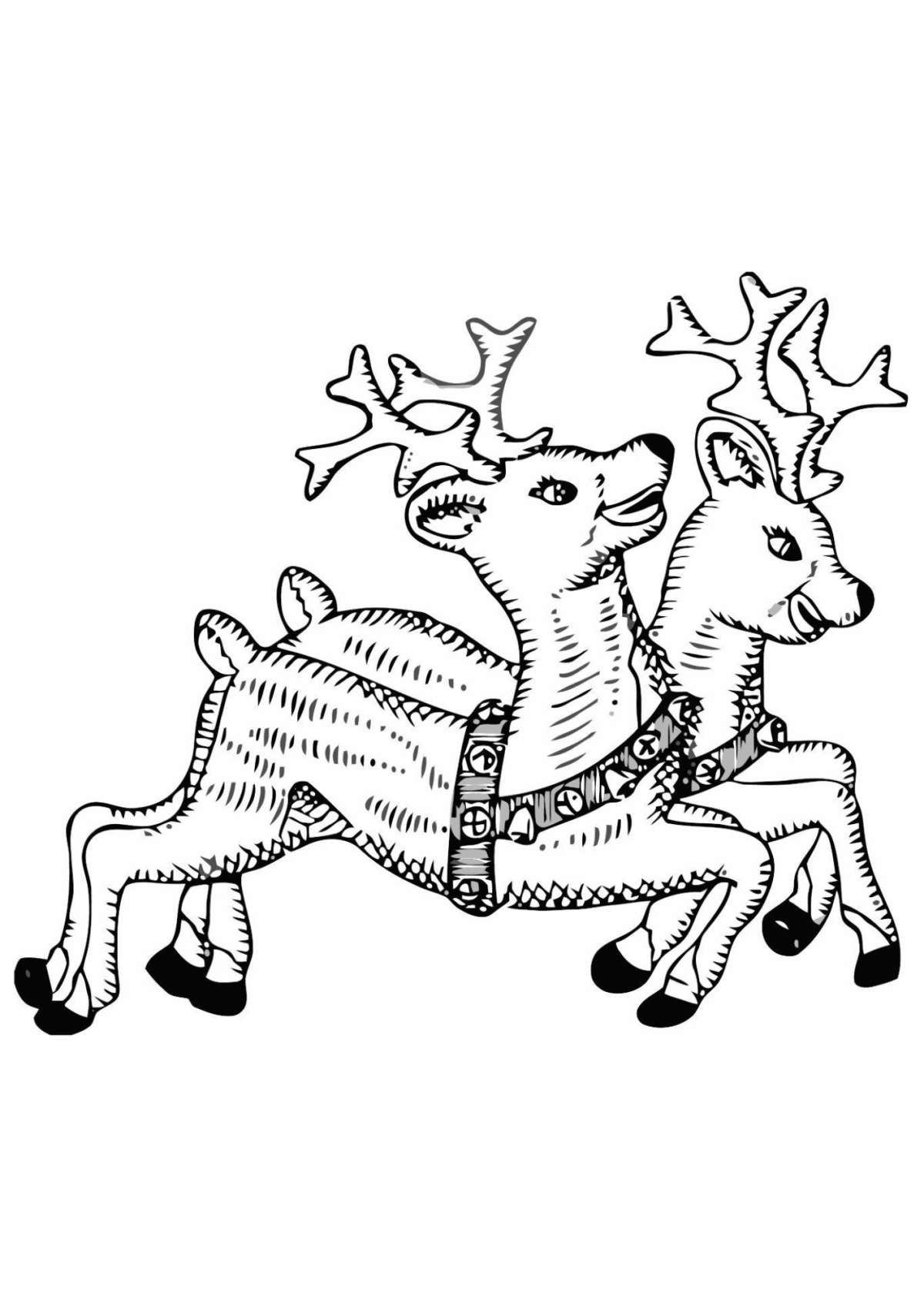 Desenho para Colorir Rena
