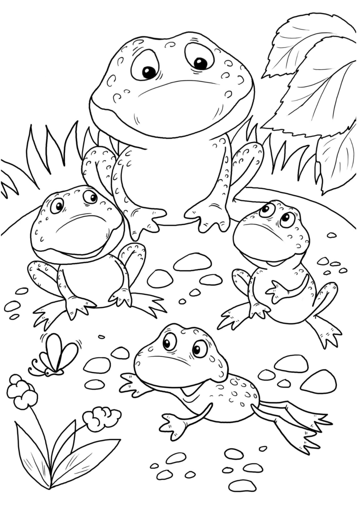 Desenho para Colorir Sapo
