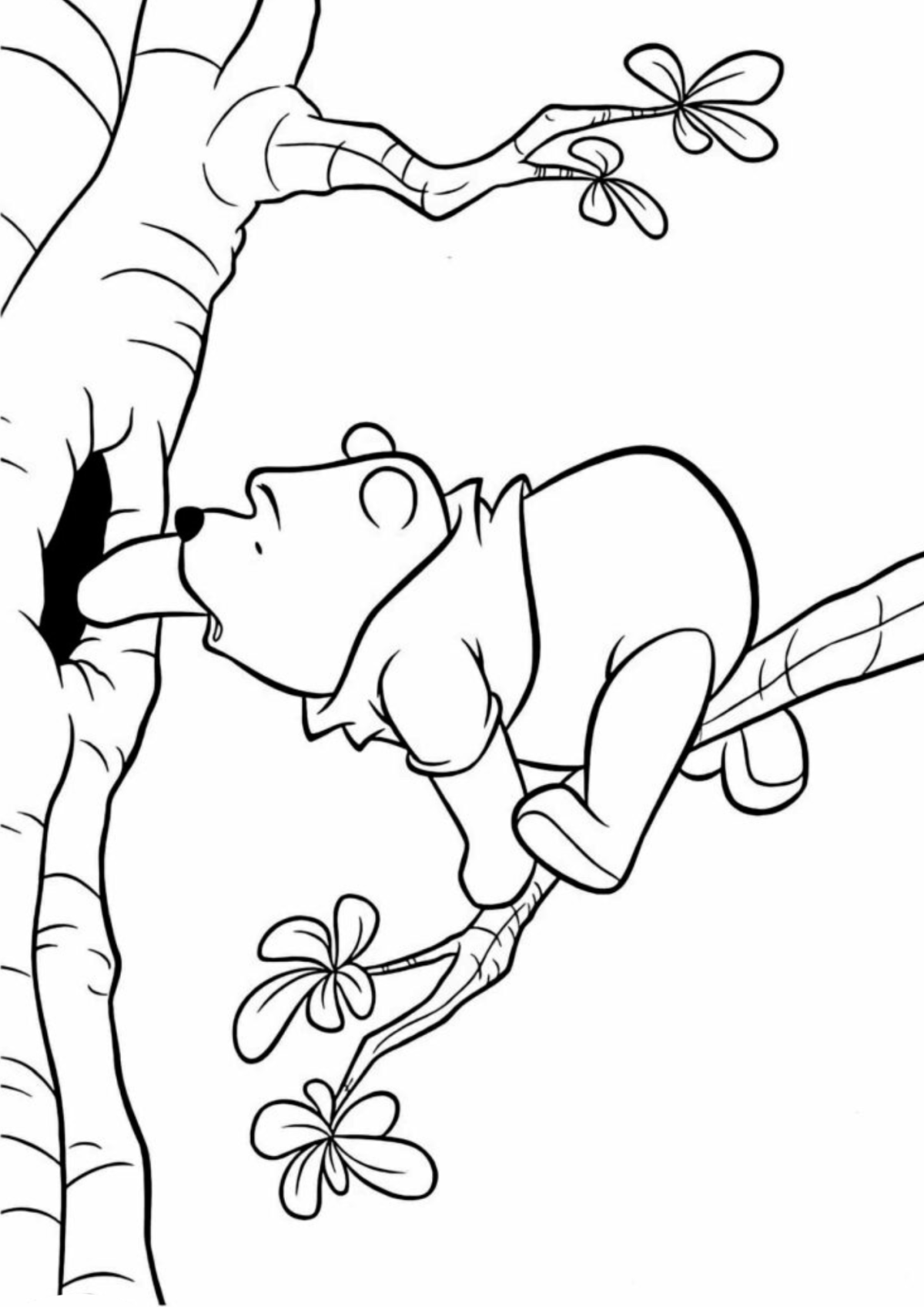 Desenho para Colorir Ursinho Pooh