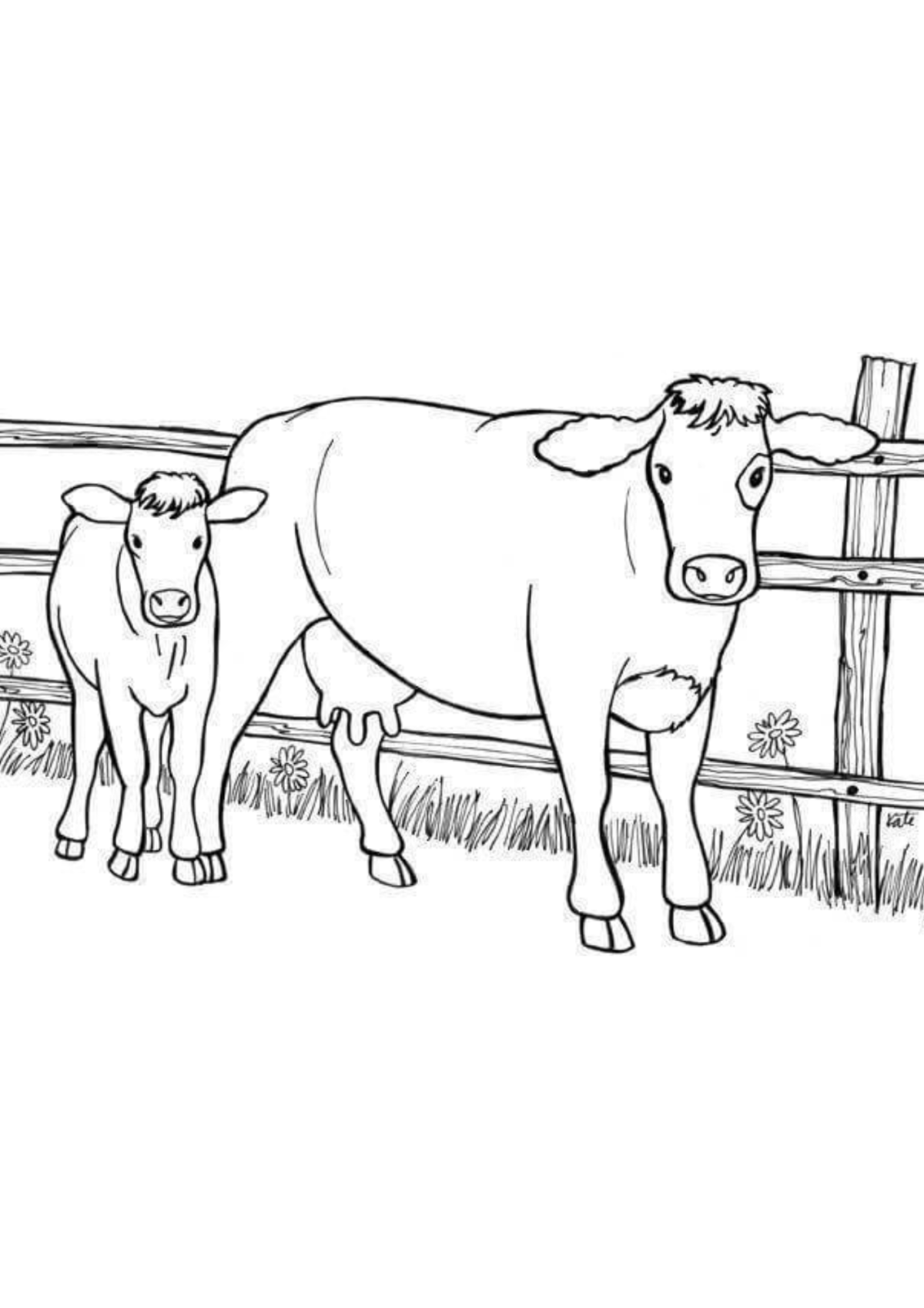 Desenho para Colorir Vaca
