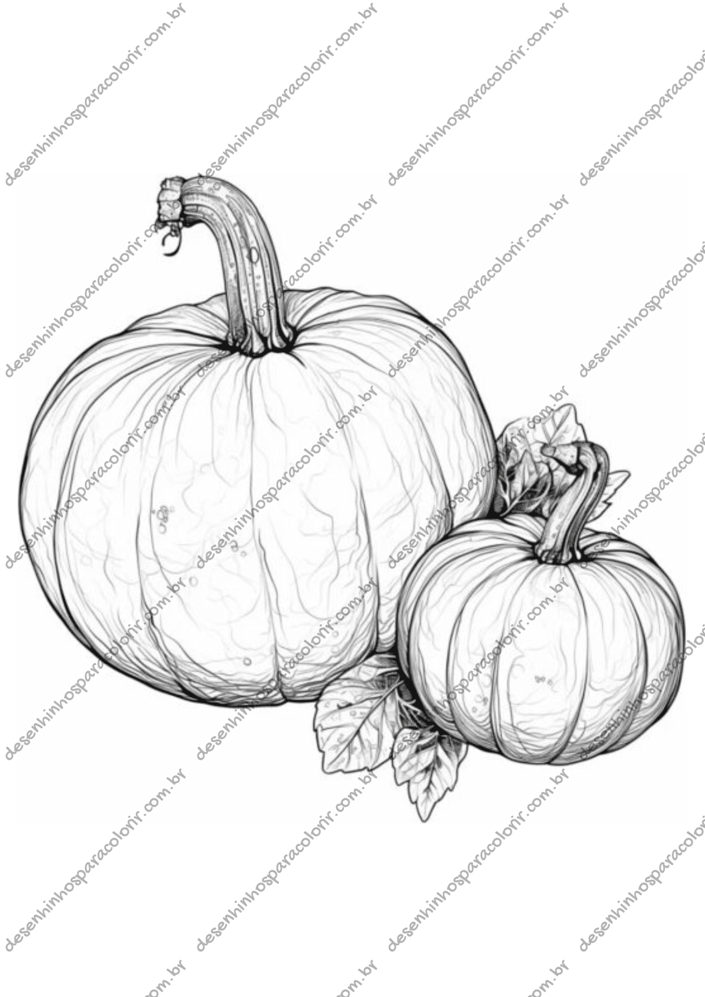 Desenho para Colorir Abóbora Desenho para Colorir Abóbora