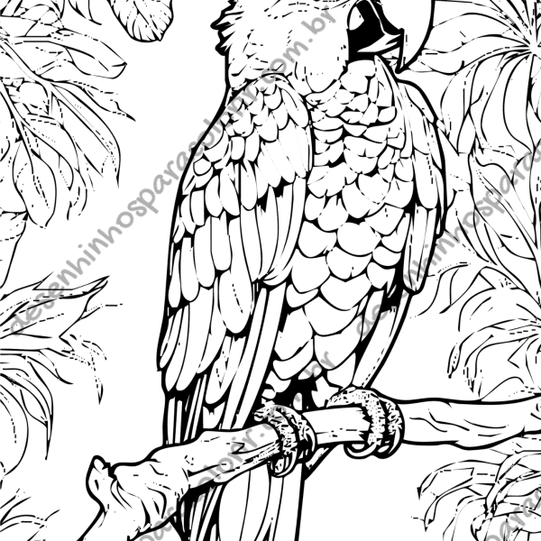 Desenho para Colorir Arara