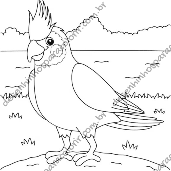 Desenho para Colorir Calopsita